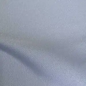 29436229